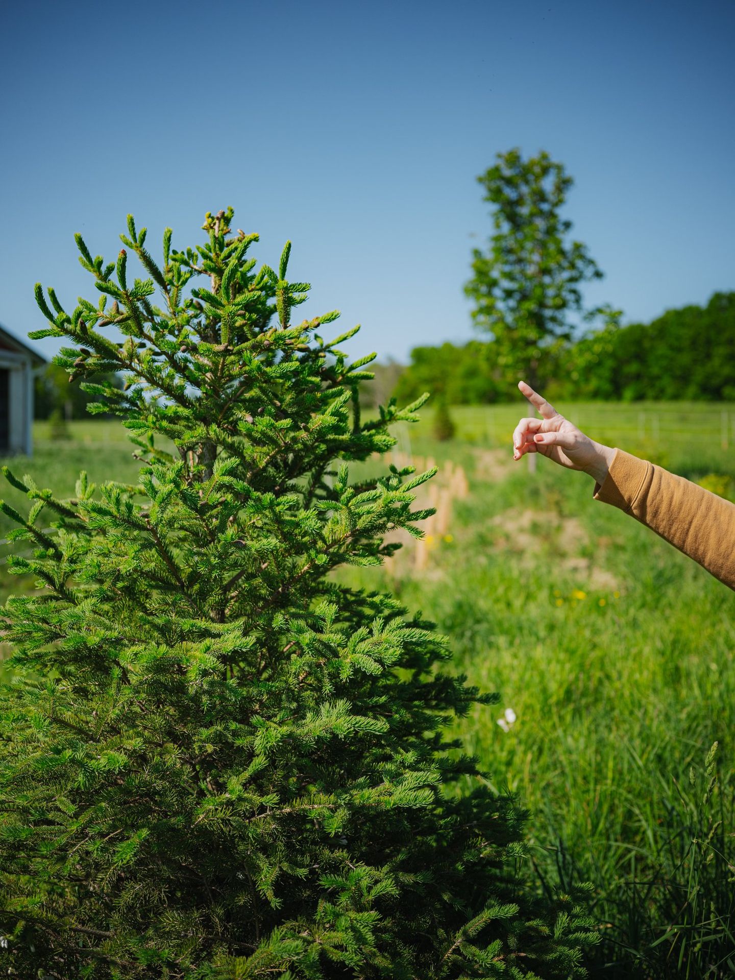 Regenerative farm visit